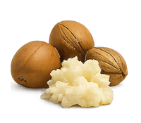 Shea Butter
