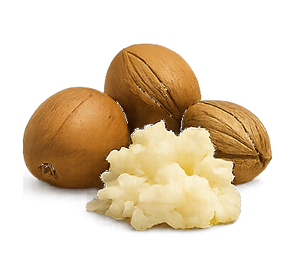 SHEA BUTTER