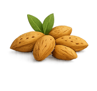 Sweet Almond Oil