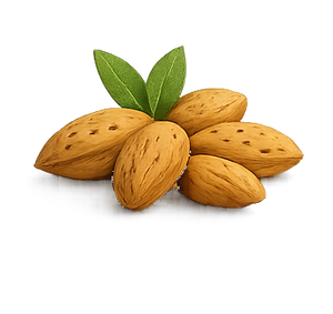 ALMOND OIL